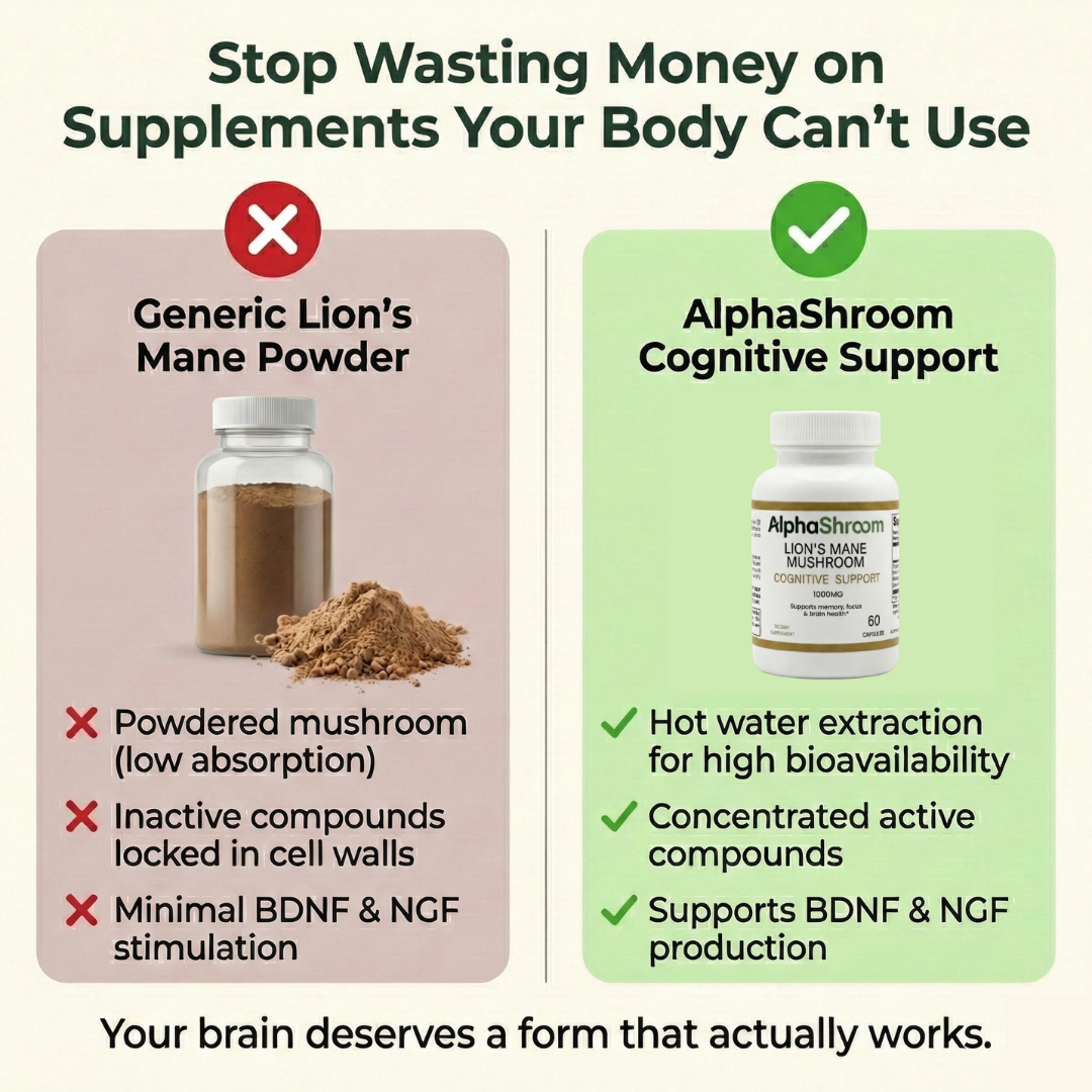 AlphaShroom - Menopausal Cognitive Support